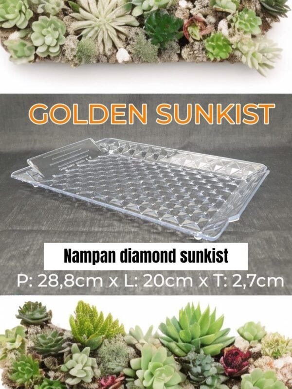 Nampan diamond sunkist