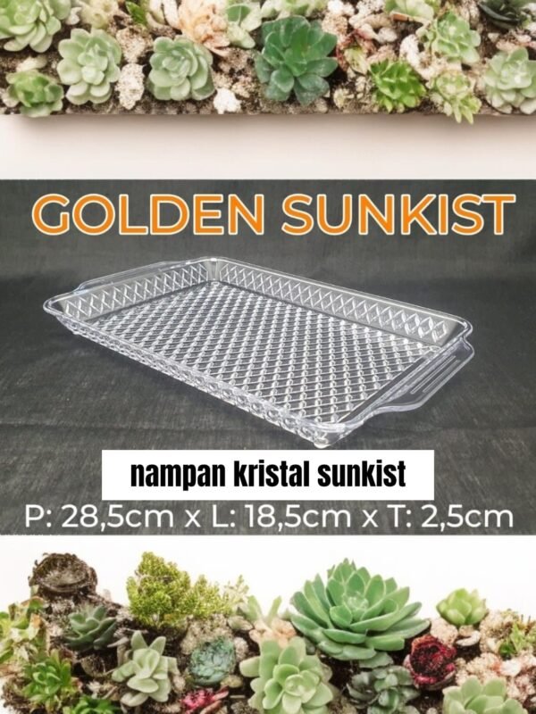 Nampan kristal sunkist 2062