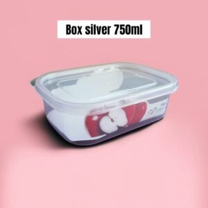 Toples/kotak/box silver plastik(750 ml)