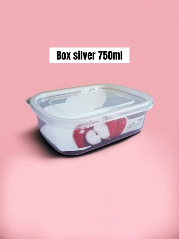 Toples/kotak/box silver plastik(750 ml)